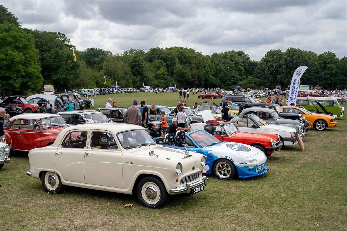 partial site view 2025 